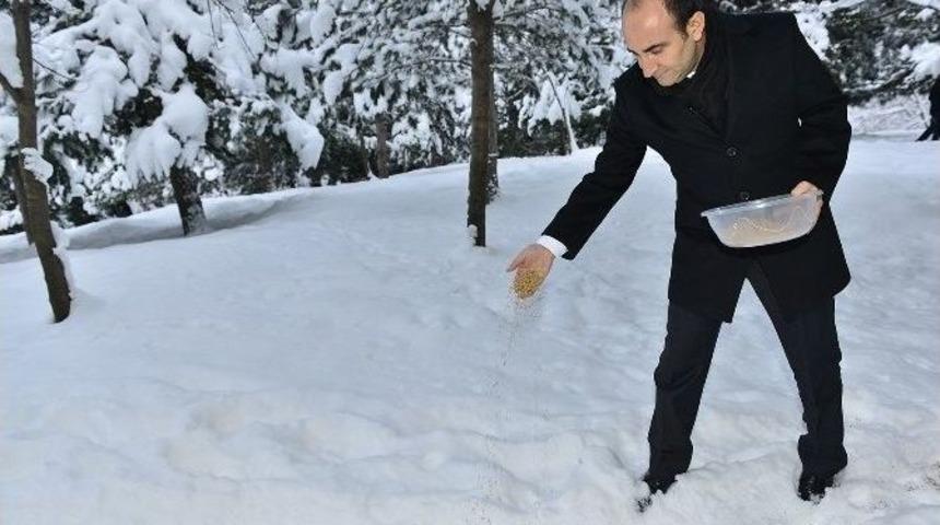 Karda A&ccedil; Kalan Sokak Hayvanlarına Belediye Şefkati