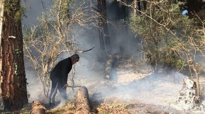 &Ccedil;anakkale&rsquo;de Savaş Alanlarında Orman Yangını