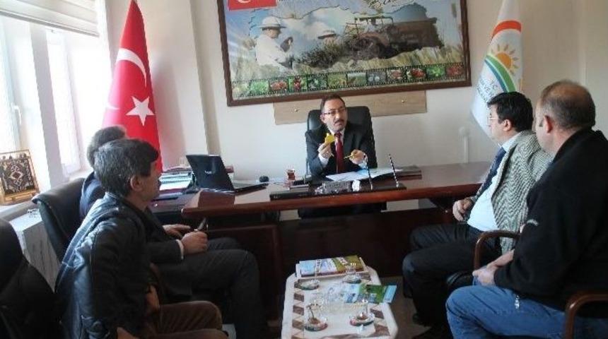 B&uuml;y&uuml;kbaş Hayvanlarında K&uuml;pelemede Yeni D&ouml;nem