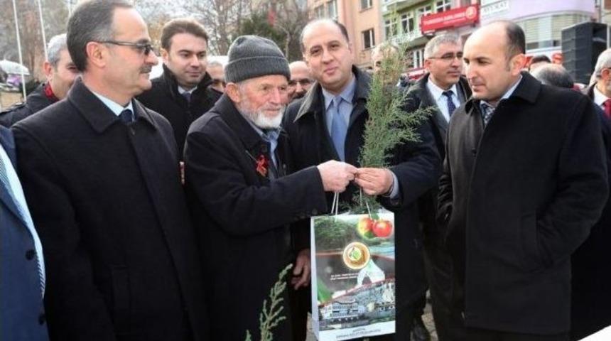 Amasya&rsquo;da Halka Bin Fidan Dağıtıldı