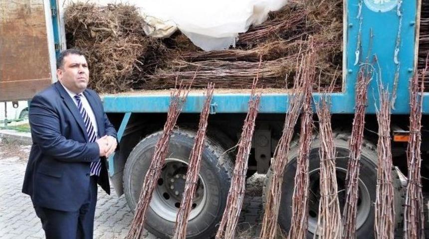 Manisa B&uuml;y&uuml;kşehir&rsquo;den Kırsal Kalkınmaya Destek