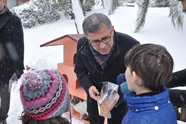 Kediler Kışı Sıcak Yuvalarında Geçirecek G4