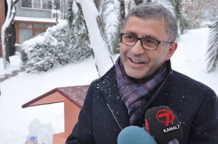 Kediler Kışı Sıcak Yuvalarında Geçirecek G5