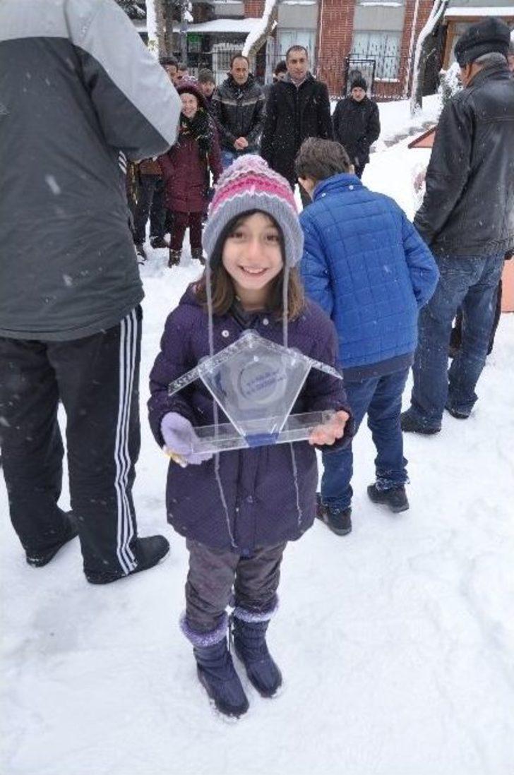 Kediler Kışı Sıcak Yuvalarında Geçirecek G2