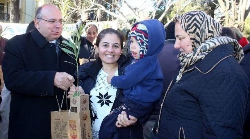 Yeni Yıl &Ouml;ncesi 150 Bin Fidan Dağıtıldı