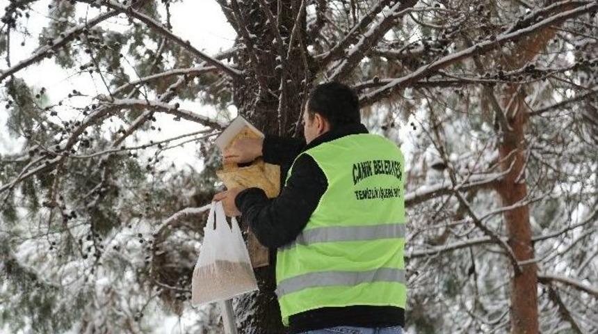Canik&rsquo;ten Kuşlar Yem