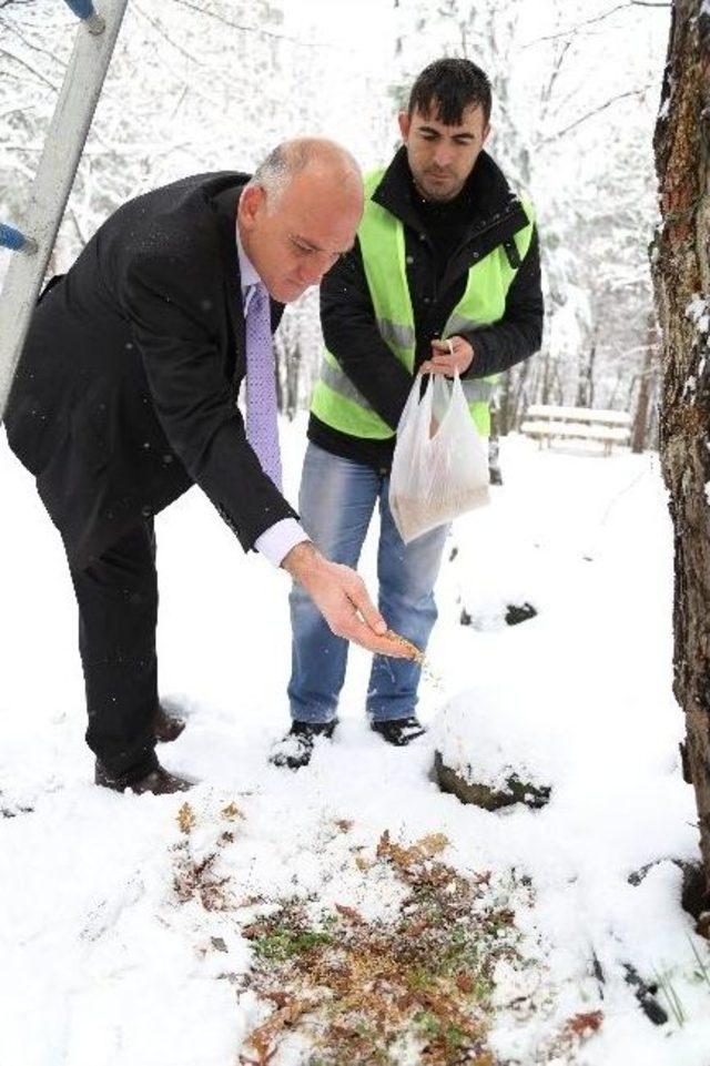 Canik’ten Kuşlar Yem