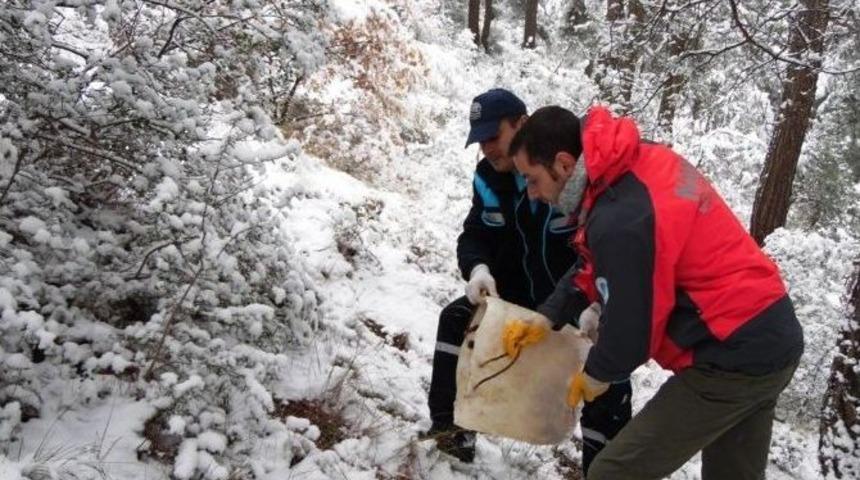 Bursa&rsquo;da Karda A&ccedil; Kalan Yaban Hayvanlarına Yem