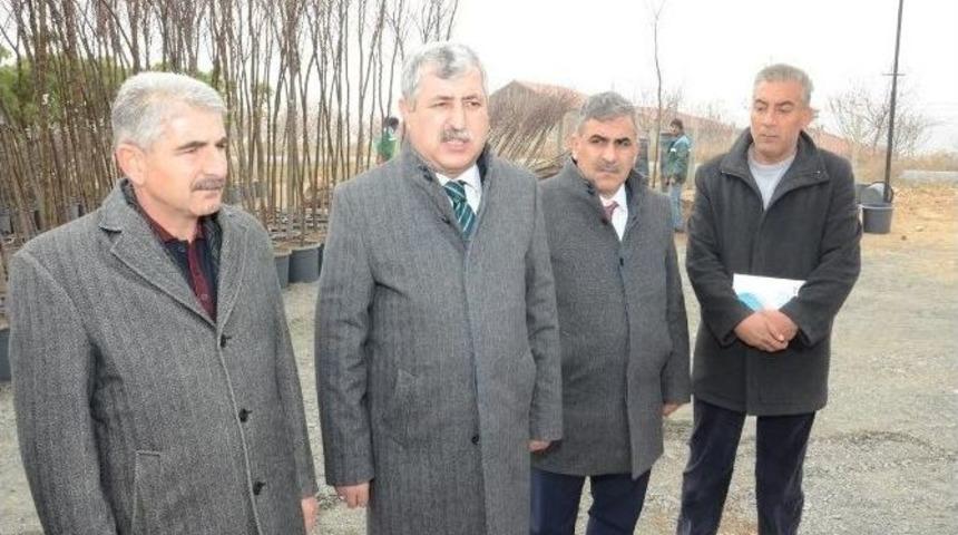 Mahallede Fidanlık Alanı Oluşturuldu