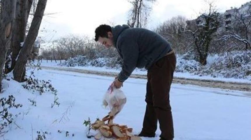 Sokak Hayvanları Unutulmadı