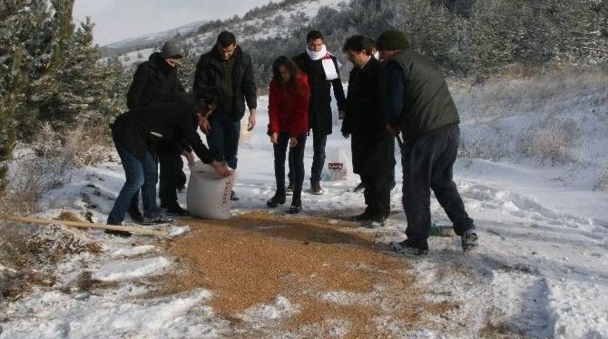 Yozgat&rsquo;ta Yaban Hayvanları İ&ccedil;in Yem Bırakıldı