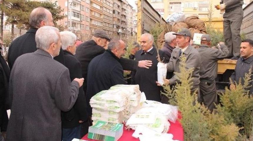 Elazığ&rsquo;da Yılbaşı &Ouml;ncesi 5 Bin &Uuml;cretsiz Fidan Dağıtıldı