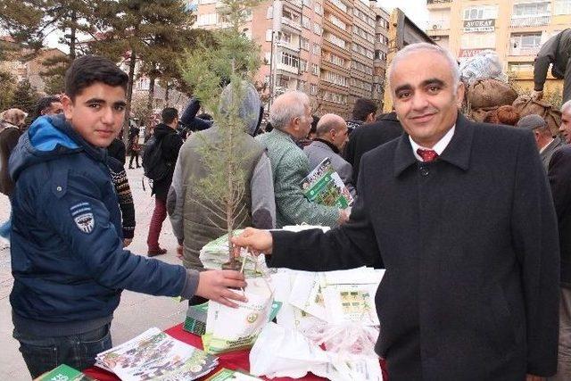 Elazığ’da Yılbaşı Öncesi 5 Bin Ücretsiz Fidan Dağıtıldı