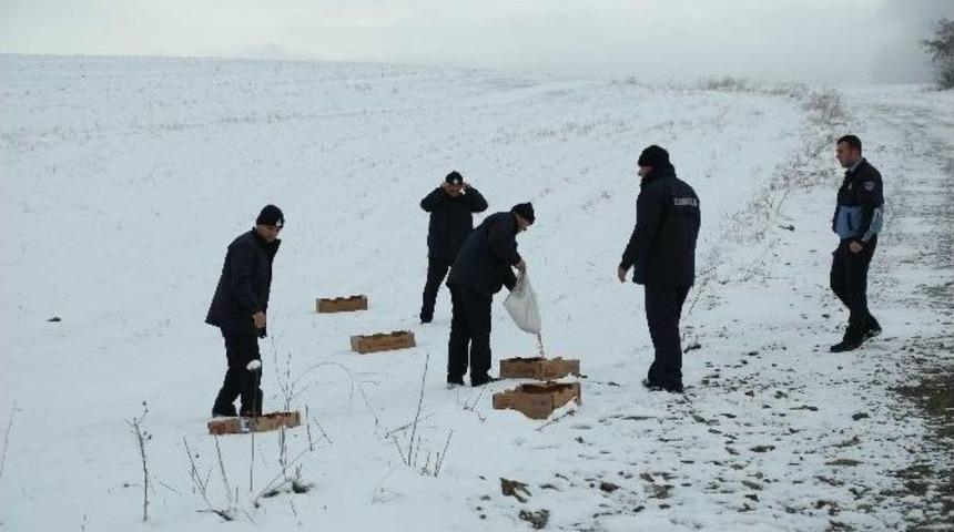İlkadım&rsquo;dan Sokak Hayvanlarına Yem Ve Mama