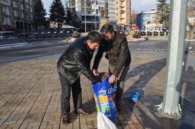 Belediyeden Kuşlara Yem, Köpeklere Mama 1