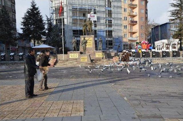 Belediyeden Kuşlara Yem, Köpeklere Mama 3