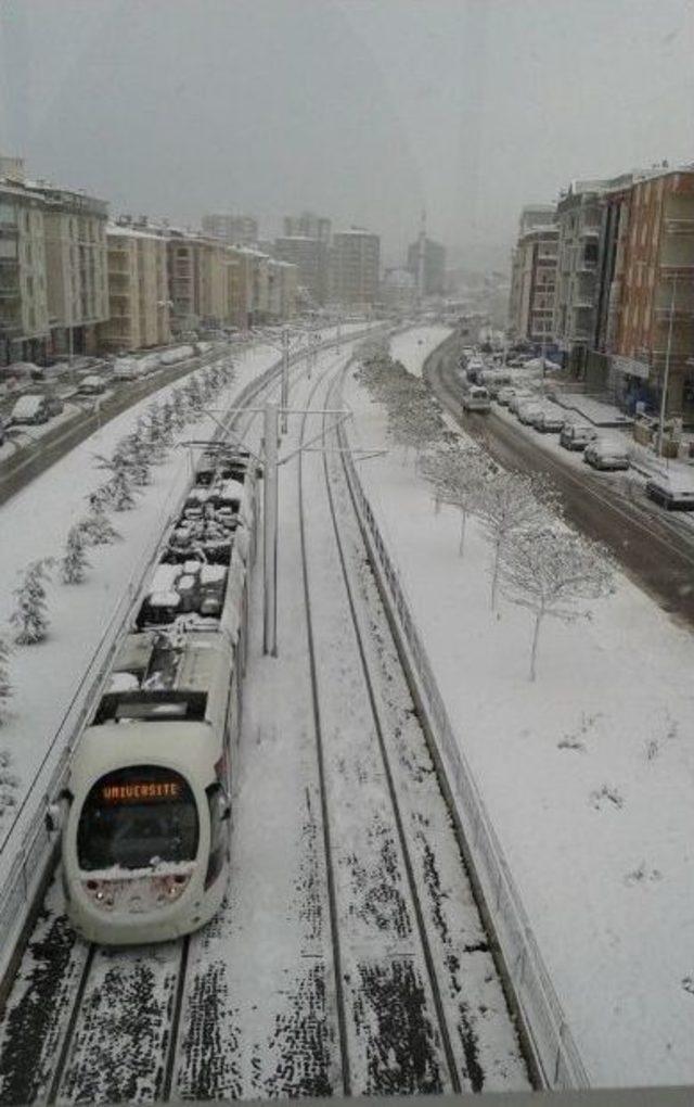 En Güzel Kar Fotoğrafı Yarışmasının Sonucu Belli Oldu