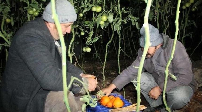 Millet Kutlama, &Ccedil;ift&ccedil;i Don Derdinde