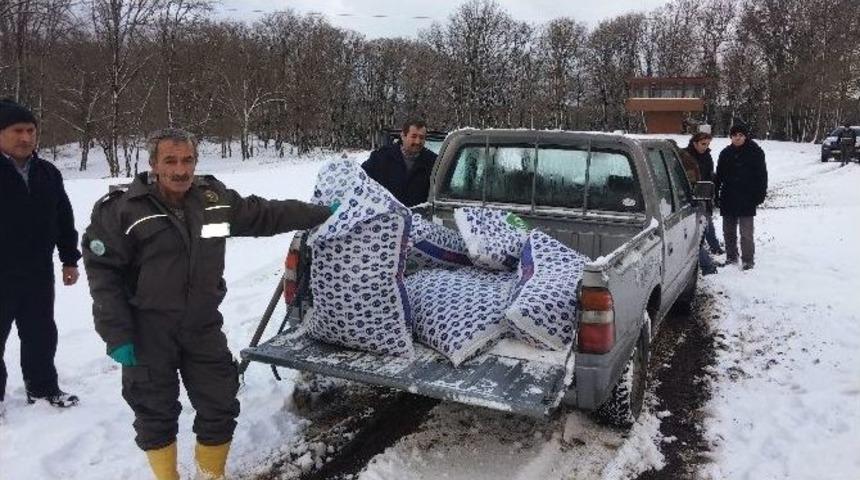 Geyikler İ&ccedil;in Belgrat Ormanı&rsquo;na Yem Bırakıldı