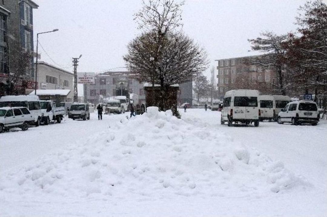 Muradiye&rsquo;de Kar Esareti