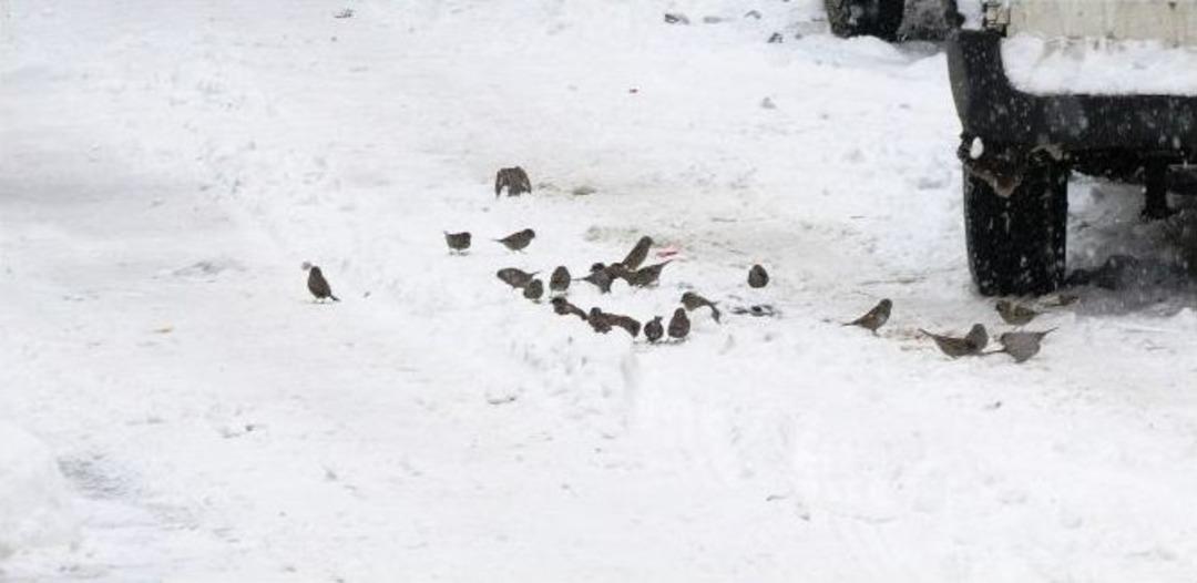 Van&rsquo;da Kara Kış