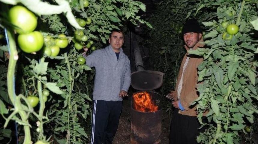 &Ccedil;ift&ccedil;i Yeni Yıla Zirai Don N&ouml;betiyle Girdi