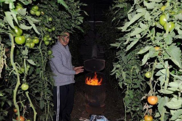 Çiftçi Yeni Yıla Zirai Don Nöbetiyle Girdi