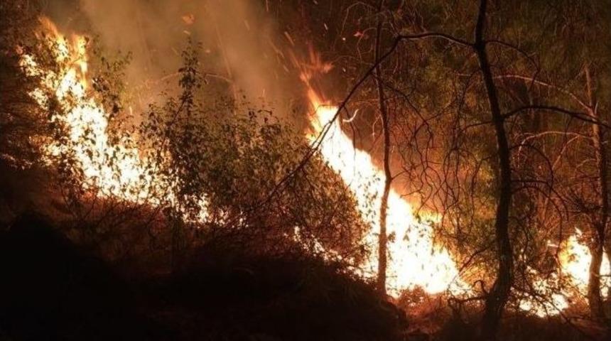 Marmaris Yeni Yıla Orman Yangınıyla Başladı