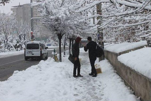 Mardin’de Hayat Durdu