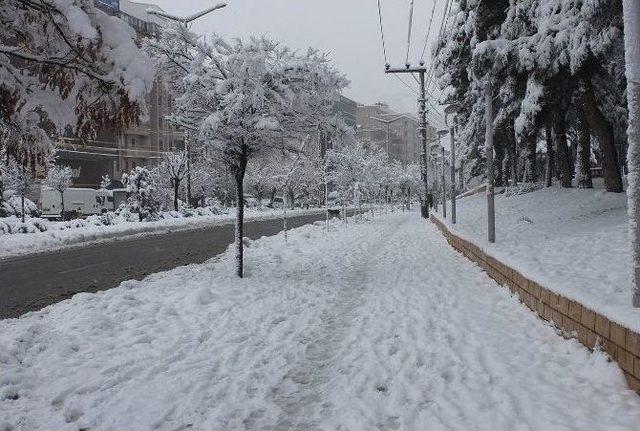 Mardin’de Hayat Durdu