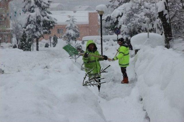 Yığılca Belediyeden Örnek Kar Çalışması