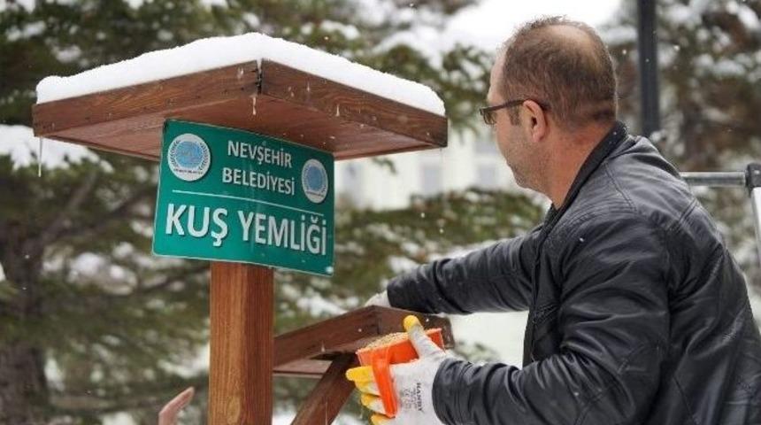 Nevşehir Belediyesi Kuşlara Yem Bıraktı