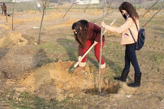 Kandıra’ya 74 Kilometre Yol