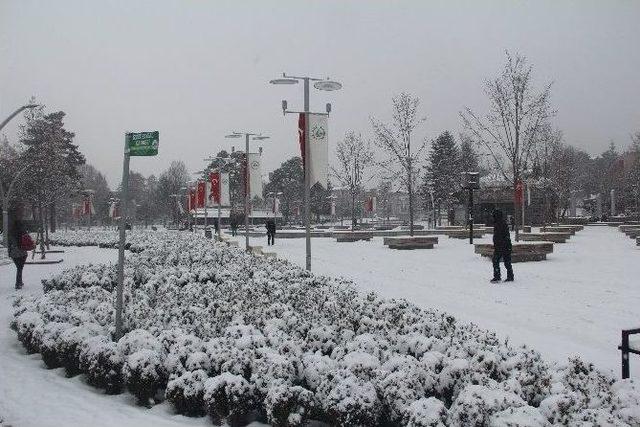 Bolu Kar Yağışına Teslim Oldu