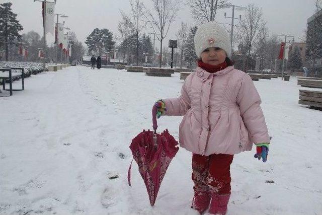 Bolu Kar Yağışına Teslim Oldu