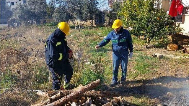 Kopan Elektrik Kablosu Mahalleliyi Sokağa Döktü, Korku Dolu Anlar Yaşattı