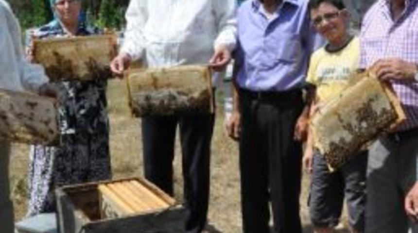 Ordu Bal &Uuml;retiminde Altı &Uuml;lkeyi Ge&ccedil;ti