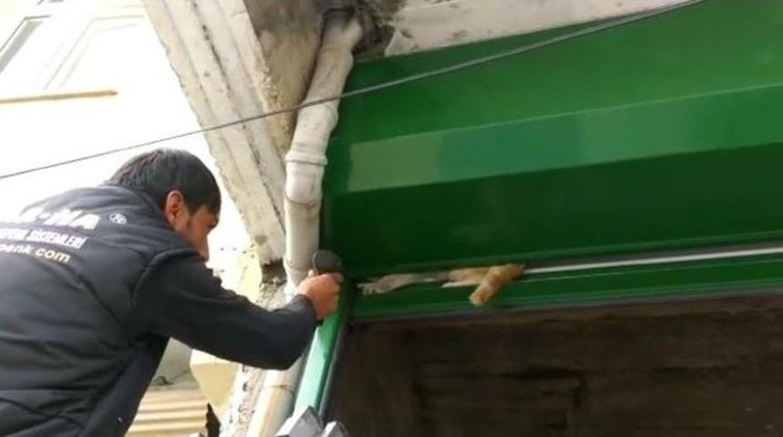 Kepenkte Sıkışan Kediyi Esnaf Kurtardı