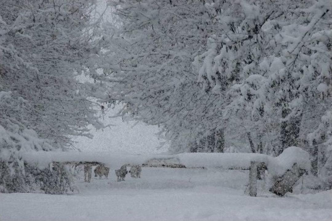 Diyarbakır&rsquo;dan Kar Manzaraları