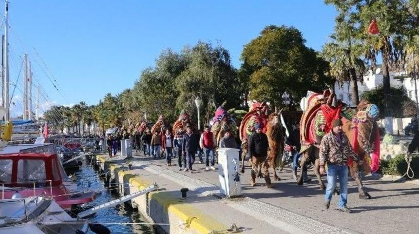 Bodrum Deve G&uuml;reşi Festivali Kortej İle Başladı