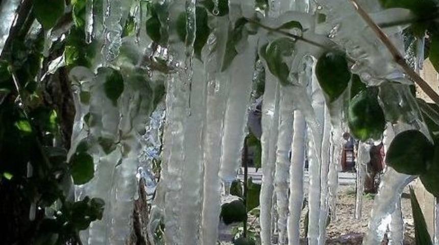 Antalya&rsquo;da 1 Metrelik Buz Sarkıtları Oluştu