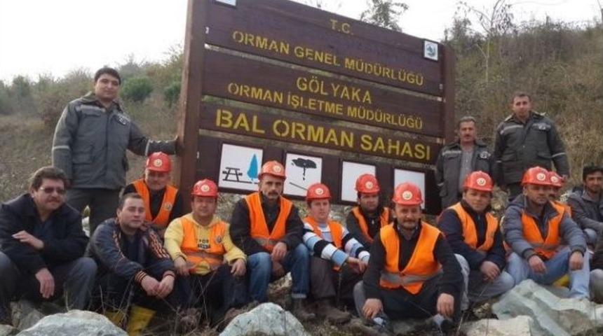 Bal Ormanına Akasya Ve Kestane Fidanı Dikildi