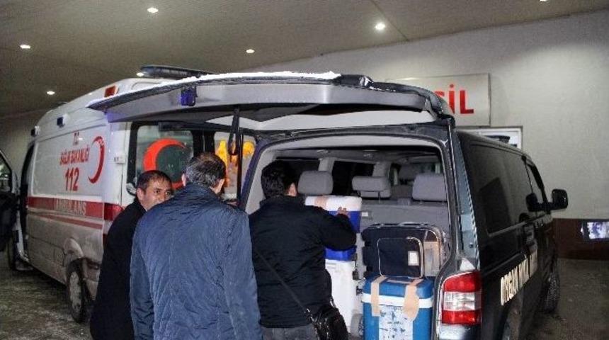 Doğumdan Sonra Vefat Eden Kadının Organları 3 Kişiye Umut Oldu