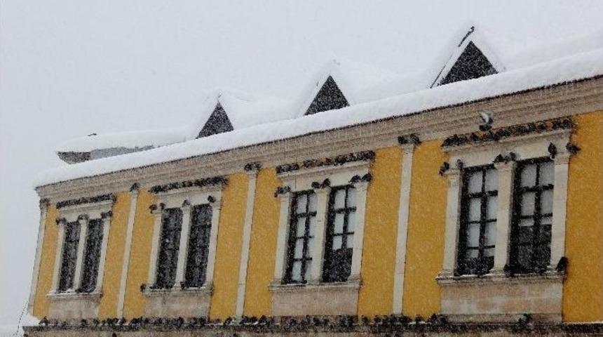 Kara Kıştan En &Ccedil;ok Sokak Hayvanları Etkileniyor