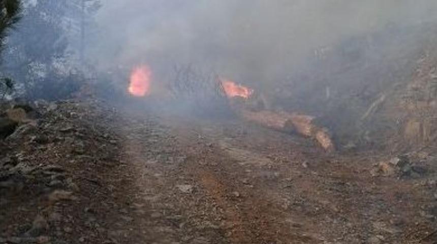 Adana&rsquo;da Orman Yangını