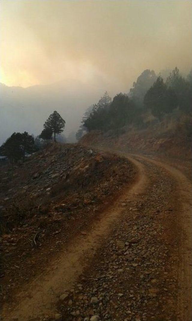 Adana’da Orman Yangını