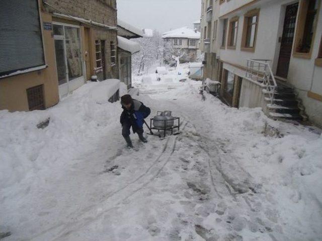 Ürünlerini Kızak İle Ulaştırıyor