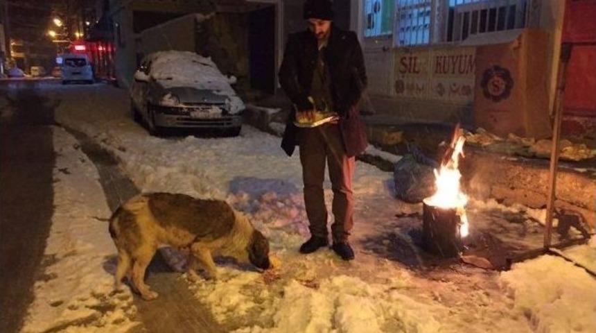 Dondurucu Soğukta Sokak Hayvanları Unutulmadı