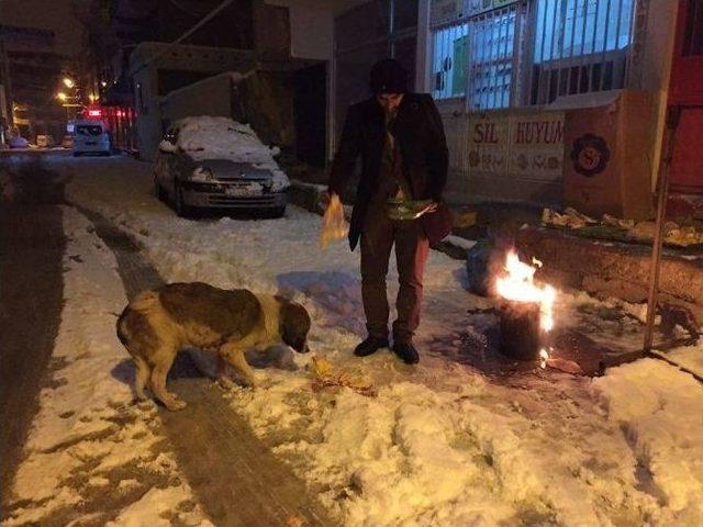 Dondurucu Soğukta Sokak Hayvanları Unutulmadı