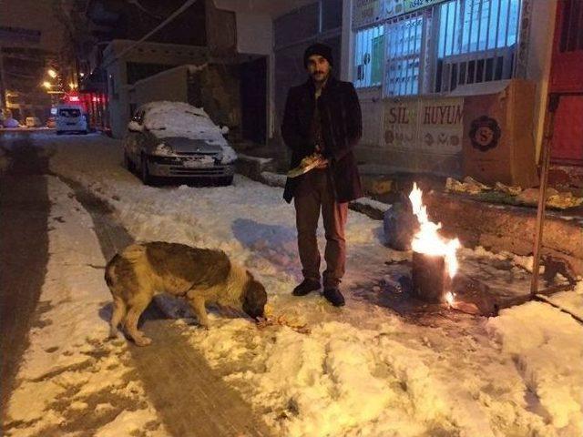 Dondurucu Soğukta Sokak Hayvanları Unutulmadı